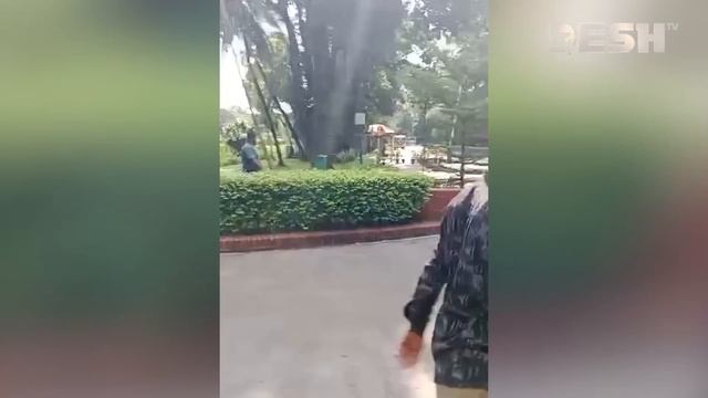 গণভবনের বিছানায় জনতার উল্লাস | Ganabhaban | Desh TV смотреть онлайн