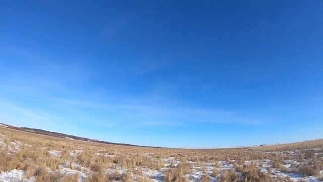 1 декабря 2023 года,охота на фазана. #охота #охотанафазана #pheasant #pheasanthunting смотреть онлайн