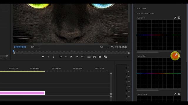 How To Change Eye Color In Premiere Pro смотреть онлайн