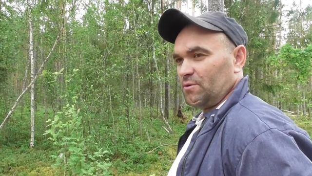 vlog В ЛЕС ЗА ЧЕРНИКОЙ/ЗАГАТОВКИ НА ЗИМУПРОДОЛЖАЮТСЯ/СЕМЬЯ ДАНИЛОВЫХ смотреть онлайн