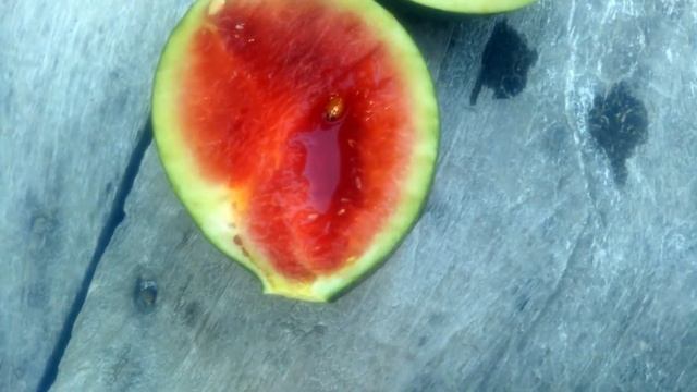 Tarbooz Ki Bail Me Tarbooz Lag Gaya | First Time Mene Bail Lagai or Acha Result Paya смотреть онлайн