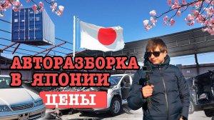 Авторазборка в Токио   запчасти из Японии   встреча с друзьями