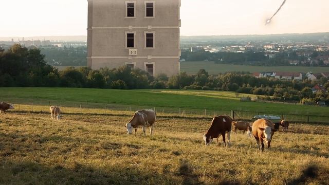 Filmora 12.5.6 영상 합성하기