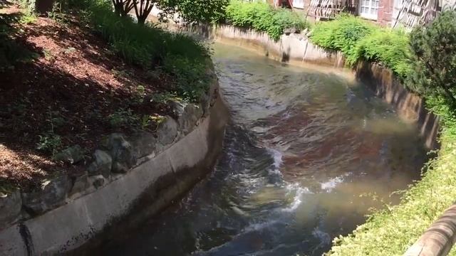 #Vlog 4 - Europa Park смотреть онлайн