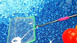 Кукла БЕБИ БОН и Крокодил! Весёлые игры в бассейне с шариками! Видео куклы для девочек Baby Born