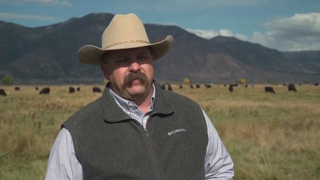 2018 BQA Cow Calf Award - Bently Ranch, Nevada смотреть онлайн