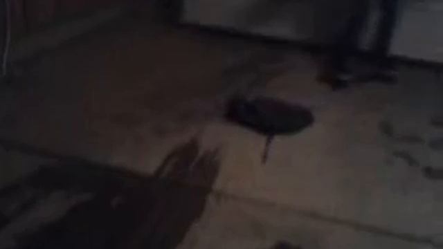kickflip over backpack смотреть онлайн