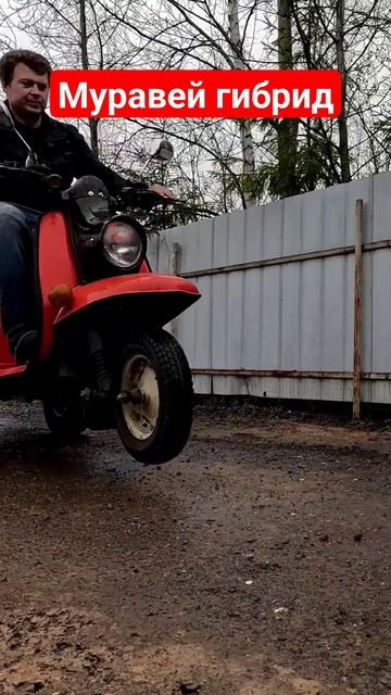 мотороллер гибрид #мотороллер #ретро #муравей смотреть онлайн