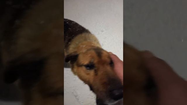 выходные за городом смотреть онлайн