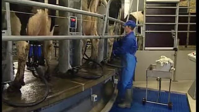 Молочное оборудование в Европе смотреть онлайн