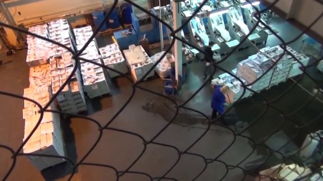 Главный редактор журнала «Флирт» подозревается в организации занятия проституцией смотреть онлайн