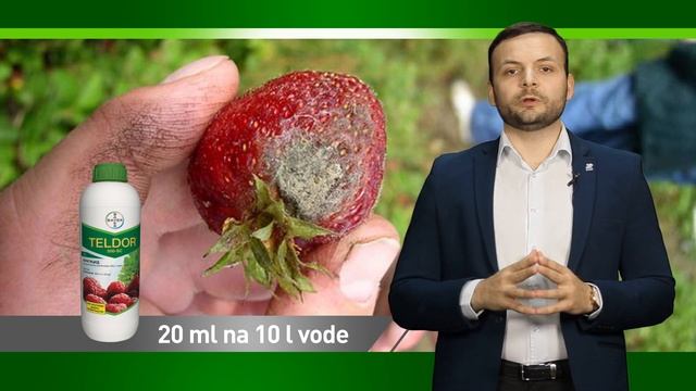 Zastita jagode Domacin CA смотреть онлайн