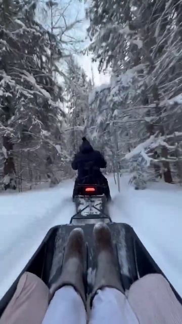 Карета подана 🤪 #brp #polaris #sharmax #снегоход #снегоходы #пермь #зимнийлес #2024 #shorts #снег смотреть онлайн