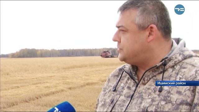 На финишной прямой смотреть онлайн