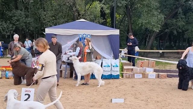 28 августа 2021 лучшие юниоры смотреть онлайн