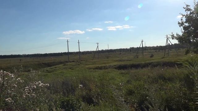 380 миллионов рублей поросли бурьяном. смотреть онлайн