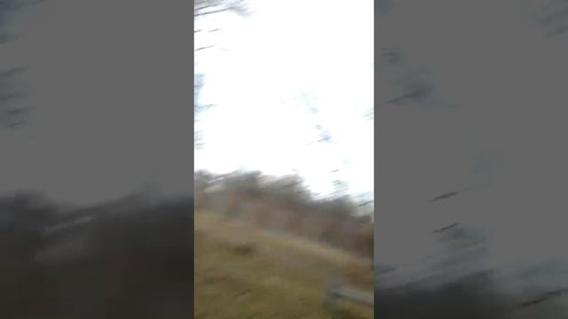 Разборки оказалось что друг брата кидалова