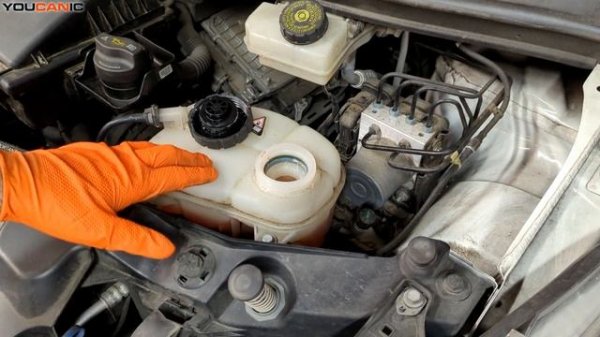 2014-2024 Mercedes-Benz Vito Metris How to Add Engine Coolant DIY W447