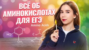 Аминокислоты: химические свойства | Химия ЕГЭ I Умскул