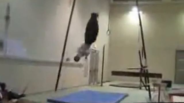 3 ой задний винт с батута смотреть онлайн