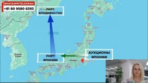 Как выбрать компанию для покупки авто с аукционов Японии