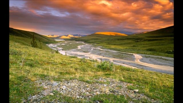 ТО НЕ ГВОЗДИ смотреть онлайн