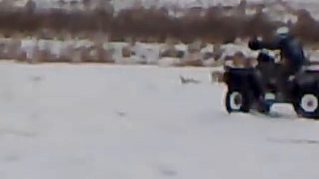 Дрифт на квадриках Павлово на Оке