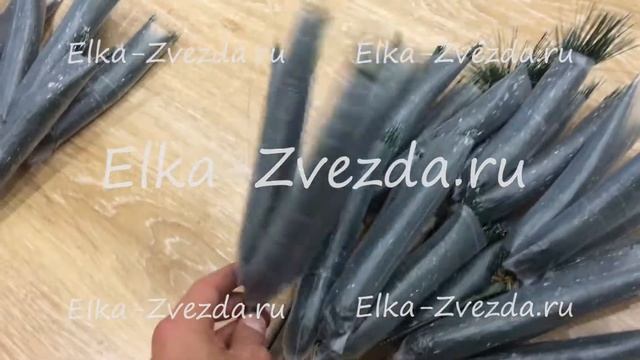 Елка Заснеженная Премиум смотреть онлайн