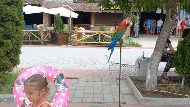 VLOG ✔️АНАПА ВИТЯЗЕВО ОТДЫХ ✔️ИДЁМ В ОКЕОНАРИУМ✔️ВЕЧЕРНЯЯ ПАРАЛИЯ смотреть онлайн