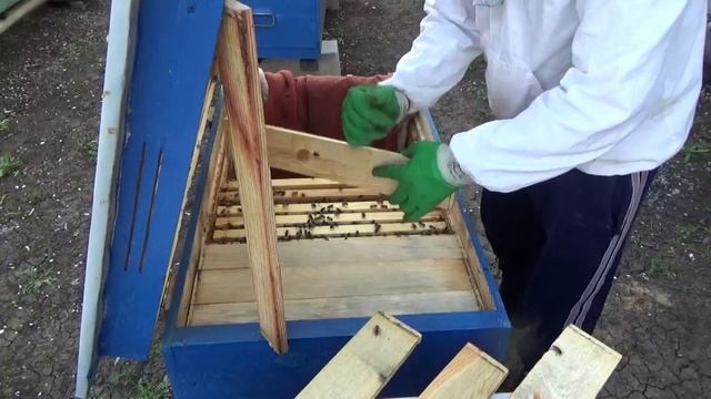 Подставка рамок с плесенью в улей. ЧТО ПРОИЗОШЛО. ПЧЕЛОВОДСТВО смотреть онлайн