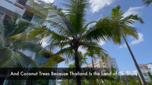 Discovering Paradise: Experienced One the Best Stay in Phuket at Atom Phuket Hotel | Episode 2