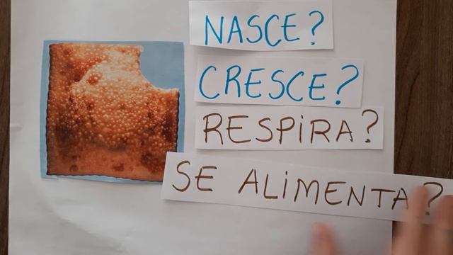 Seres Vivos e Seres Não Vivos - Conceito - 1o, 2o e 3o ano - Ensino Fundamental 1 смотреть онлайн