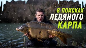 Атмосфера карповой рыбалки ранней весной в ледяной воде на озере Барановское