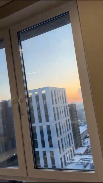 WhatsApp Video 2025-03-12 At 16.48.42