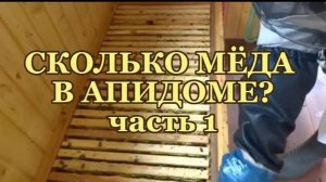 ПОРОДА ПЧЕЛ КАРНИКА В АПИДОМЕ. Часть 1