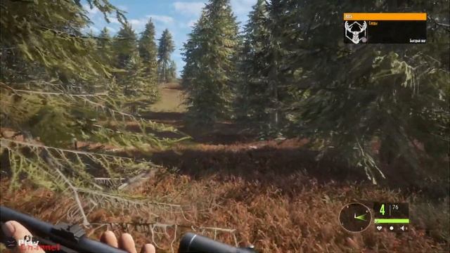 Прохождение theHunter: Call of the Wild - Бешеный лось смотреть онлайн
