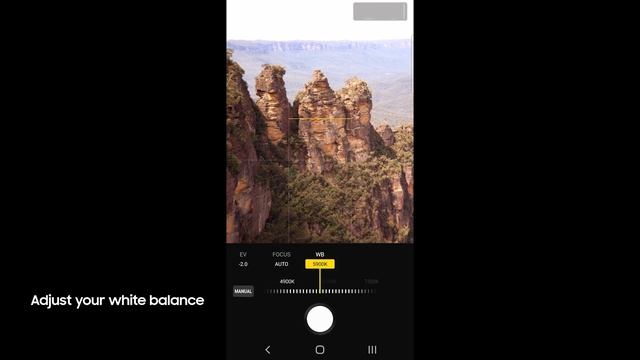 Galaxy S22: Nature Photography with Expert RAW смотреть онлайн