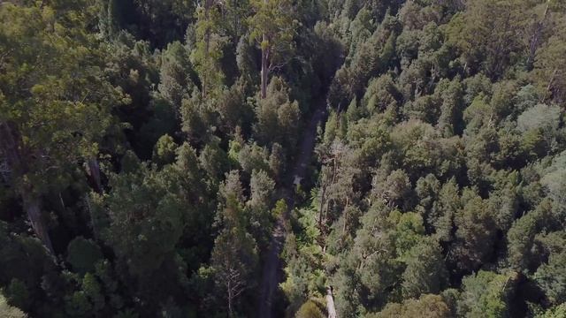 Seriously Series - Edge Of The Earth (TASMANIA) смотреть онлайн