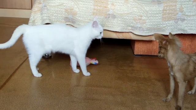 соня и лиза смотреть онлайн