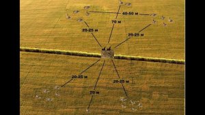 Х-образная расстановка гусиных чучел