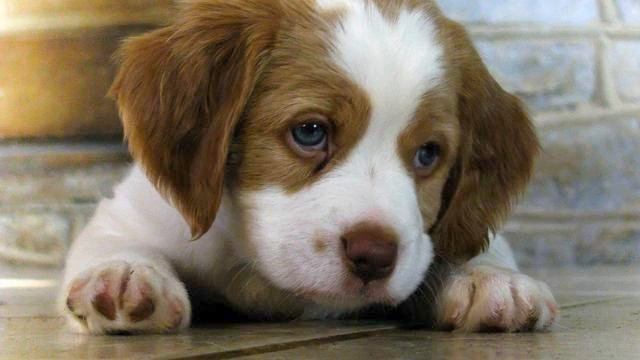 Музыка Хит FM. Просто супер! Душа полетела! смотреть онлайн