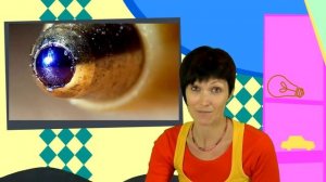 Шариковая Ручка - Фиксики Маскировка - передачи и видео для детей