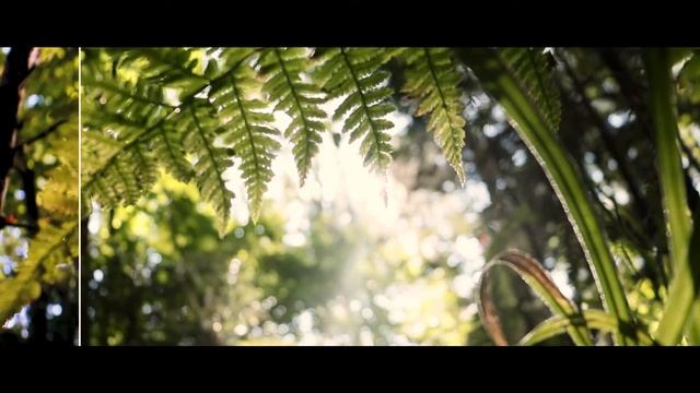 ЦВЕТОКОРРЕКЦИЯ ДО - ПОСЛЕ / Color grading my previous video / Adobe premiere pro / смотреть онлайн