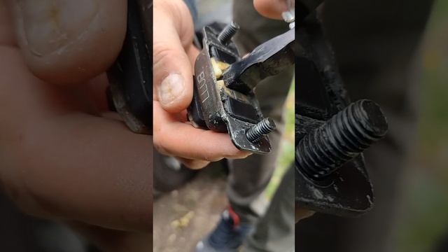 Зеленистый рай