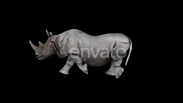 4K Rhino Run | Motion Graphics - Envato elements смотреть онлайн
