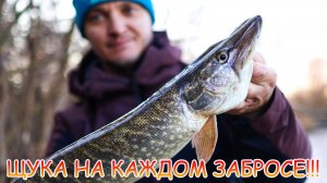 Щука на каждом забросе 👍 Джиг с берега 💪💪💪