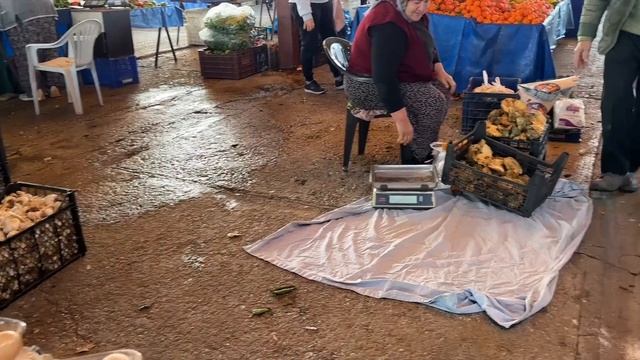 Базар в Манавгат на автобусе,цена билета  на автобус в Турции,отпуск в январе,цена на овощи и фрукт