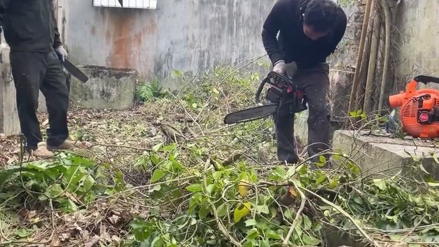 Beautifully Transform An Abandoned House - Clean Up The Overgrown Garden Area