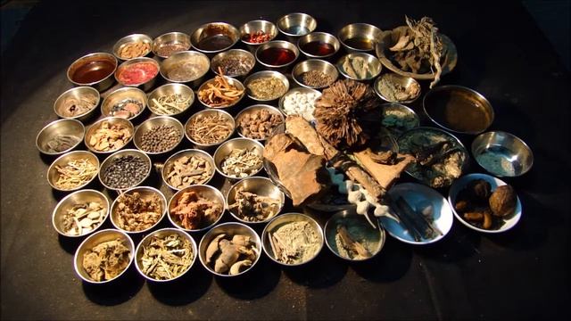 Pankaj Oudhia on Metastatic Breast Cancer: Prefer Berberis chitria смотреть онлайн