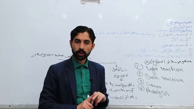 یوولسم ټولګی مضمون بیولوژی درس ۲۵ دنبات په واسطه د نوری انرژی جدب смотреть онлайн